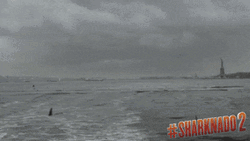 Sharknado Jumping Shark Eating A Woman GIF