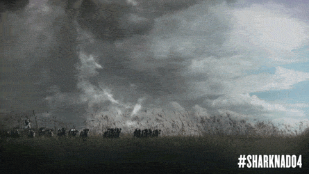 Sharknado With Flying Cows GIF