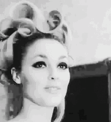 Sharon Tate Vintage Actress GIF