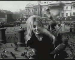 Sharon Tate With Pigeons