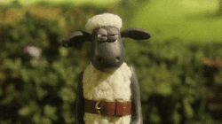 Shaun The Sheep Cracking Knuckles GIF