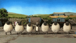 Shaun The Sheep Irish Dancing GIF