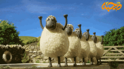 sheep in the big city gif