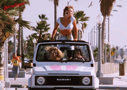 Shauni McClain Road Trip Meme GIF