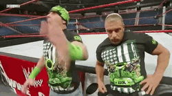 Shawn Michaels Crazy Hiding  GIF