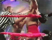 Shawn Michaels Easy Knockdown  GIF