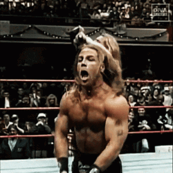 Shawn Michaels Goofy Dance  GIF