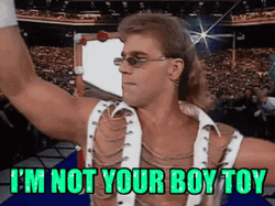 Shawn Michaels I'm Not Your Boy Toy  GIF