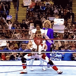 Shawn Michaels Sensational Entrance  GIF