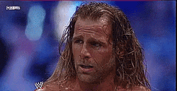 Shawn Michaels Seriously Fighting  GIF