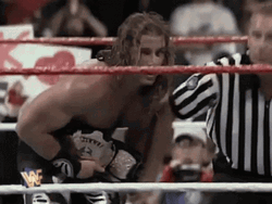 Shawn Michaels Victorious Win  GIF