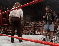 Shawn Michaels Wheelchair Knockout  GIF