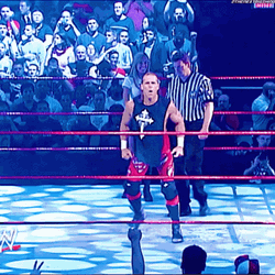 Shawn Michaels Yeah Entrance Pose GIF
