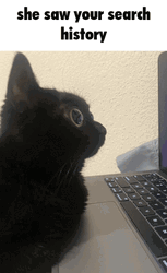She Saw Your Search History GIF