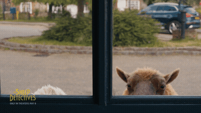 Sheep Detectives Movie Poster Sheep Peeking Out Window GIF