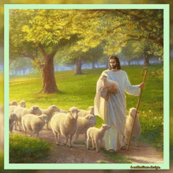 Sheep Jesus Family GIF