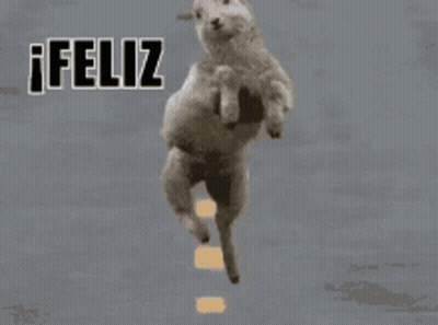 Sheep Jumping Feliz Inicio De Mes GIF