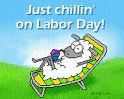 Sheep Laying In Chair Just Chillin On Labor Day GIF