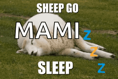 Sheep Laying In Grass Saying Sheep Go Mami Sleep GIF