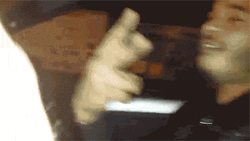 Sheep Party Driving GIF