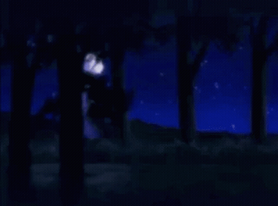 Sheep Running In Woods At Night GIF