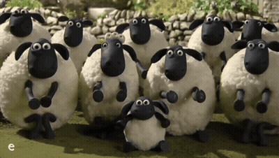 Sheep Standing In Field With Letter E GIF