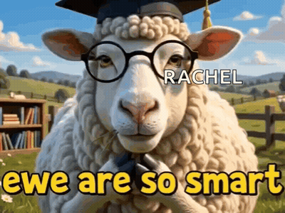 Sheep Wearing Glasses and Graduation Cap Named Rachel