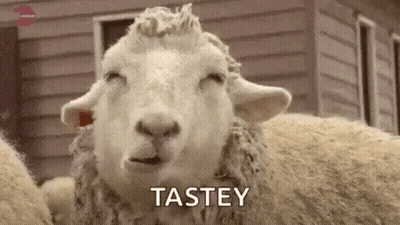 Sheep With Closed Eyes Saying Tastey GIF