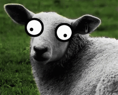 Sheep With Ear Tag Saying J GIF