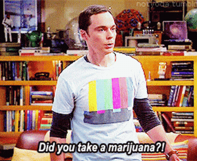 Sheldon Big Bang Theory GIF