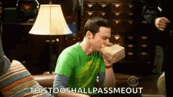 Sheldon Big Bang Theory Hyperventilating GIF