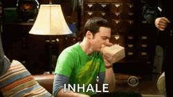 Sheldon Freak Out Inhale GIF