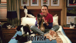 Sheldon With Pets Kip Yes GIF