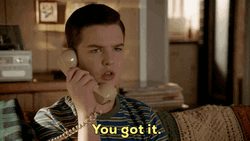 Sheldon You Got That Copy GIF