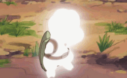 Shelgon Pokemon Evolution GIF