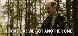 Sheriff Saying Looks Like We Got Another One GIF