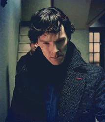 Sherlock Holmes Putting Cap On GIF
