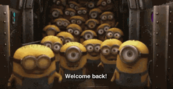Shes Back Welcome Minions GIF