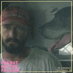 Shia Labeouf And A Dog In Car Clapping GIF