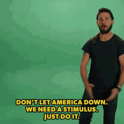 Shia Labeouf Don't Let America Down GIF
