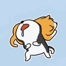 Shiba Inu Hunting Dog Cute Sleeping Drooling GIF