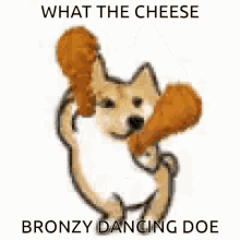 Shiba Inu Hunting Dog Dancing Chicken What The Cheese