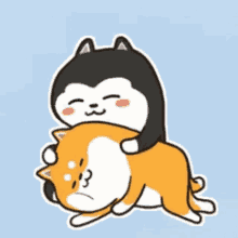 Shiba Inu Hunting Dog  GIF