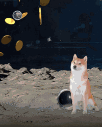 Shiba Inu Hunting Dog Space Coin GIF