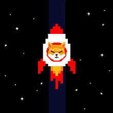 Shiba Inu Hunting Dog Space Shuttle Take Off GIF