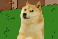 Shiba Inu Meme Disappear In Bush GIF