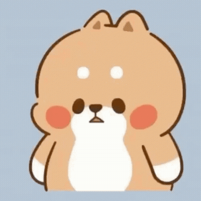 Shiba Inu With Big Belly And Ears GIF