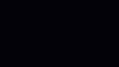 Shield With Bird And Serdal GIF