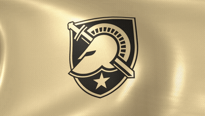 Shield With Helmet And Sword GIF