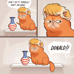 Shifty Eyes Donald Trump Cat Comic GIF